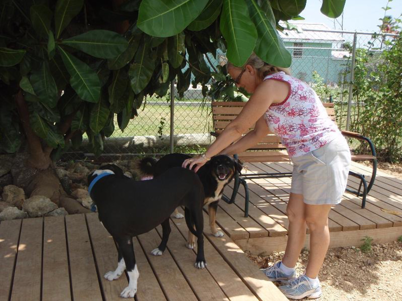 Cayman Pet Paradise Ltd-Cheval Ranch photo 2