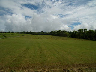 Ankir Holdings Inc photo 3