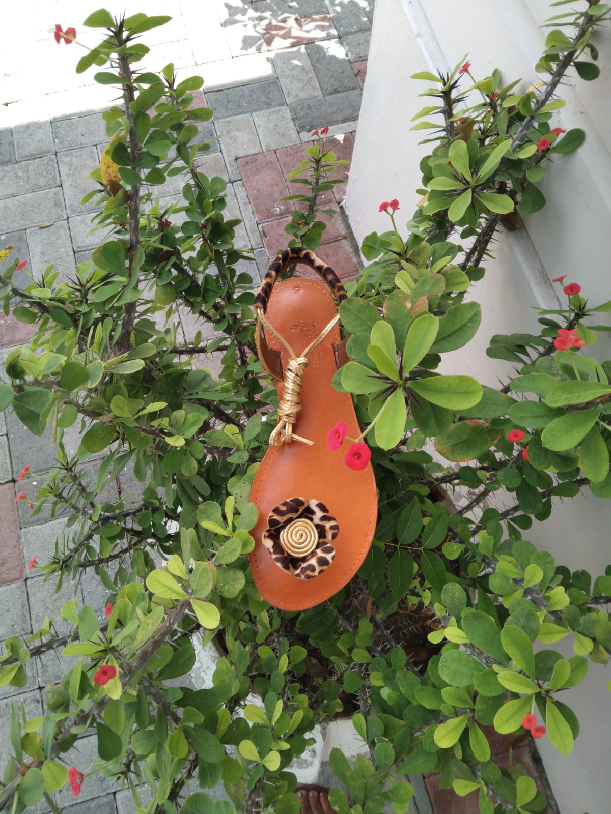 D'NexStep Sandals and Accessories photo 8