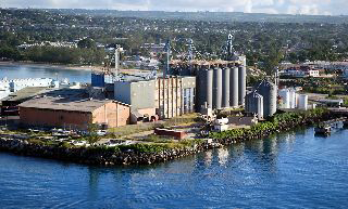 Barbados Mills Ltd photo 4