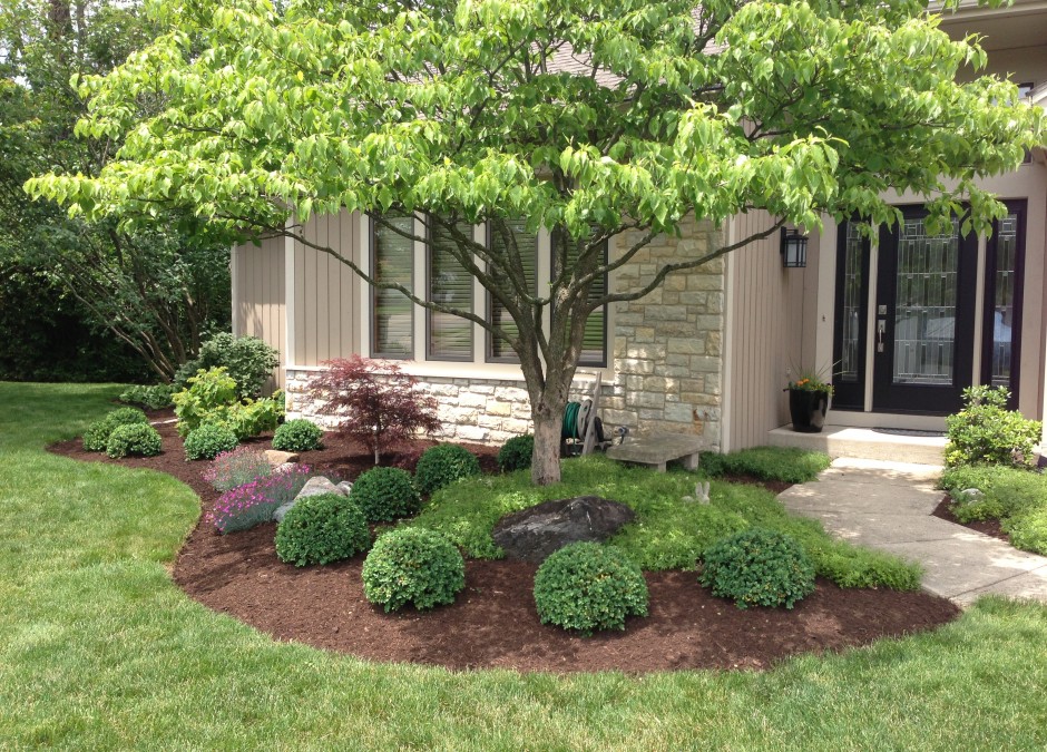 Dynaprofs Landscaping Services Ltd photo 2