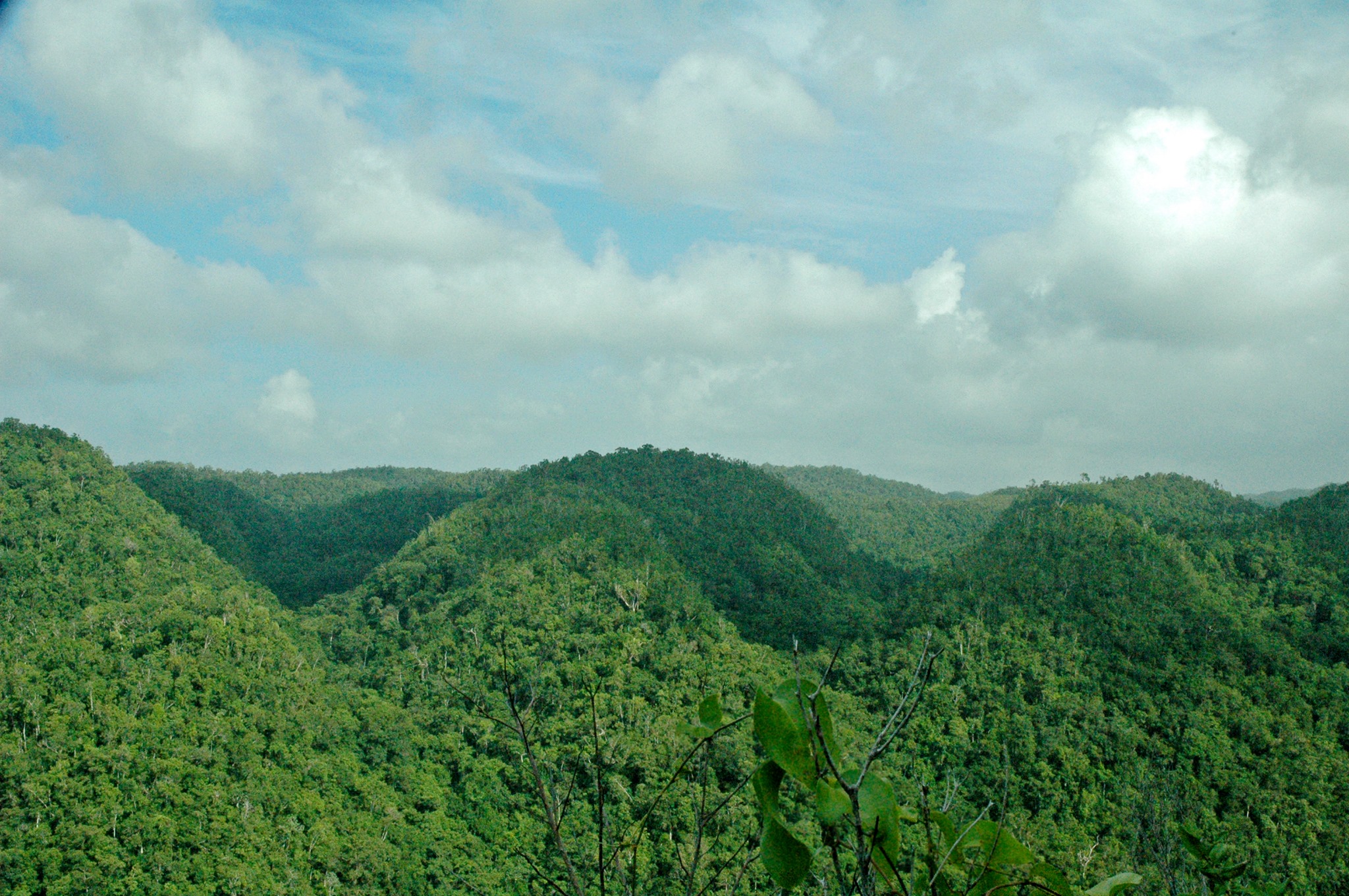Forestry Department photo 4