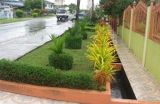 Wallace Landscaping Services photo 10