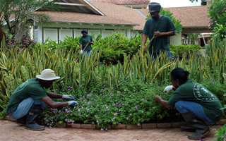 Nature Care Barbados photo 10