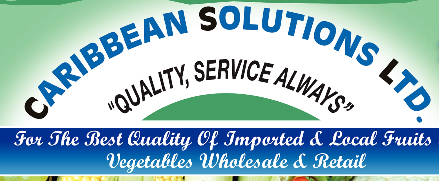Caribbean Solutions Ltd logo