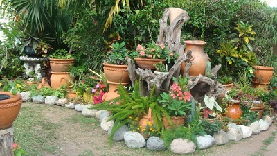 Jones Stephen Landscaping & Garden Cen photo 6