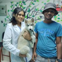 Animedics Pet Hospital photo 4
