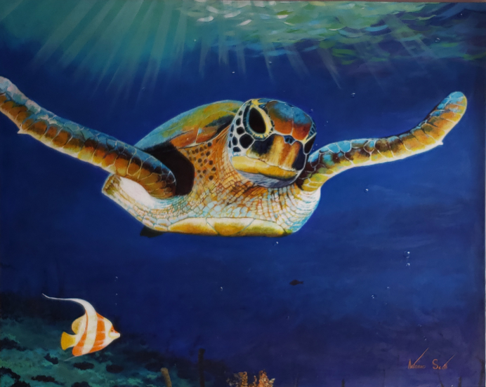 Saba Art Gallery photo 1