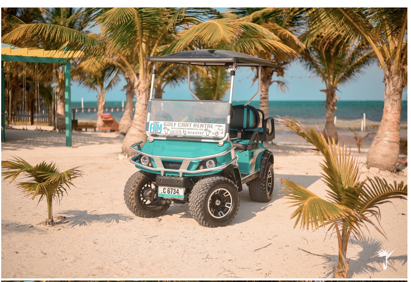 ATM Golf Cart Rental photo 6