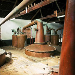 Mount Gay Distilleries Ltd photo 15