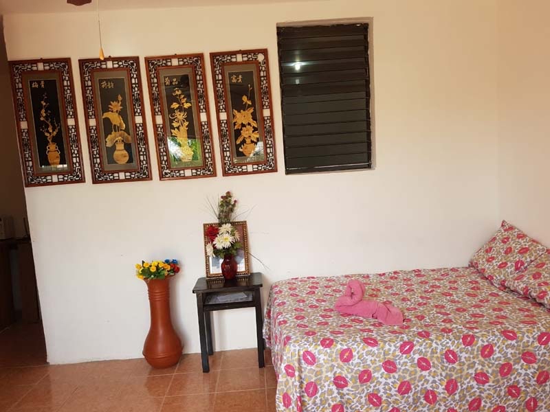 Bachelor Inn photo 7