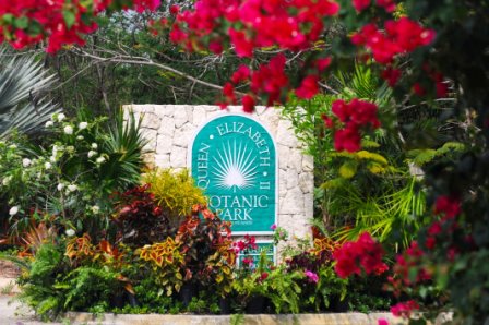 Queen Elizabeth II Botanic Park photo 1