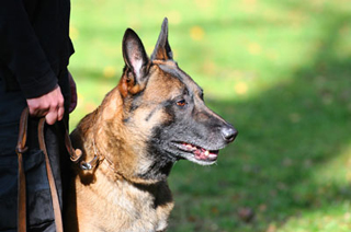 Protection One Security Ltd photo 1