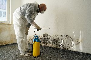 Masters of Property Sanitation (MOPS) photo 4