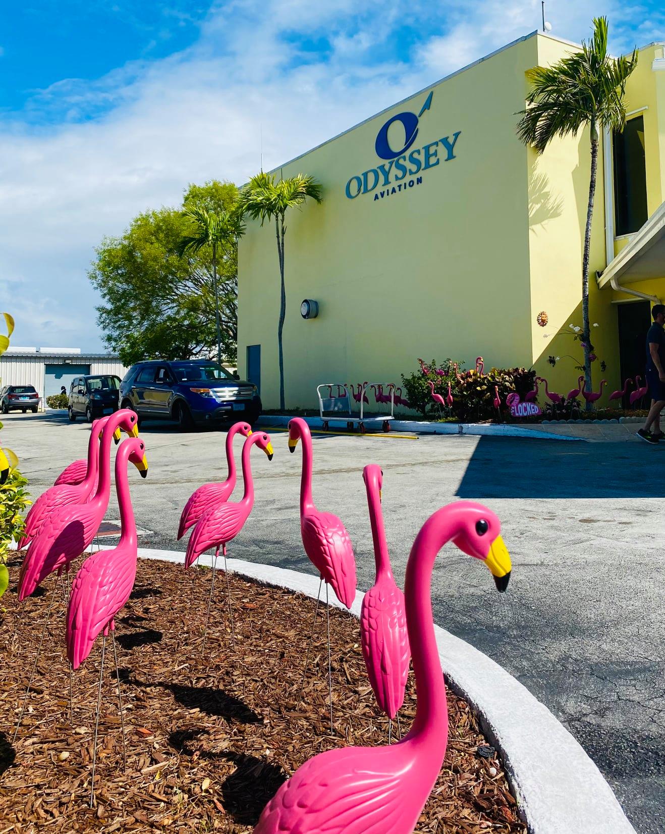 Odyssey Aviation Bahamas photo 12