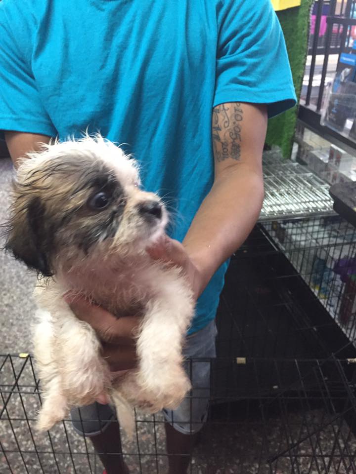 P & R Pet Shop Ltd photo 6