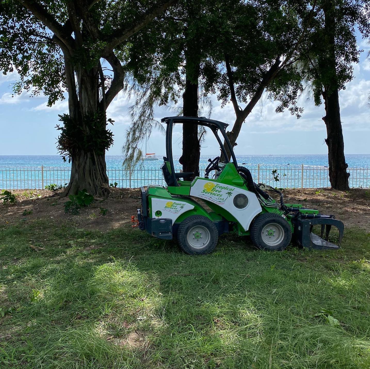 Tropical Tree Services photo 9