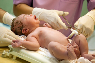 Dallas Judith Dr photo 2