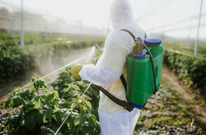 Central Pest Control photo 7