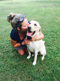 Island Veterinary Services photo 4