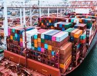 Kenton Weekes Shipping & Brokerage photo 7