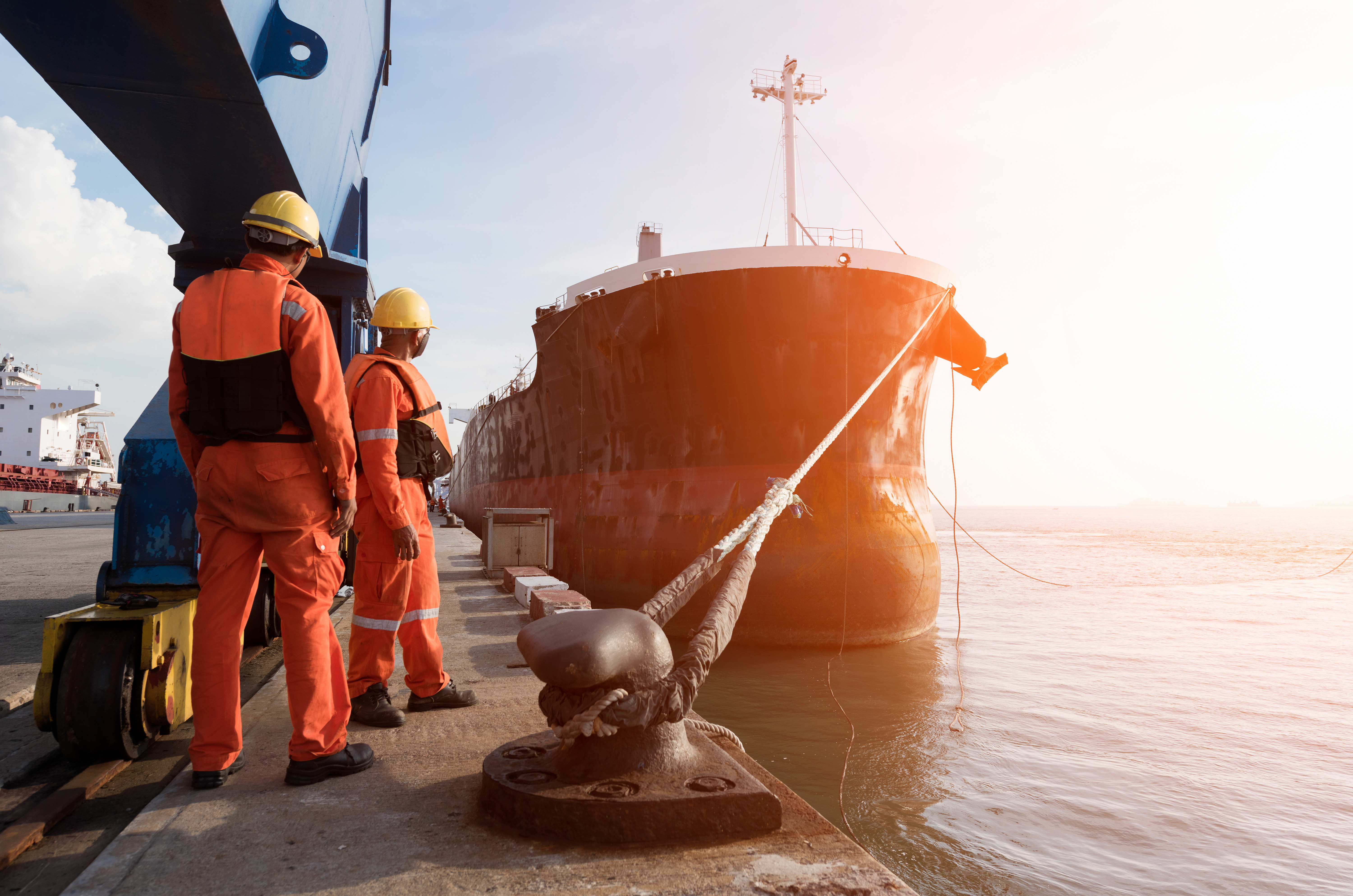 D Hill Shipping Services Limited photo 3