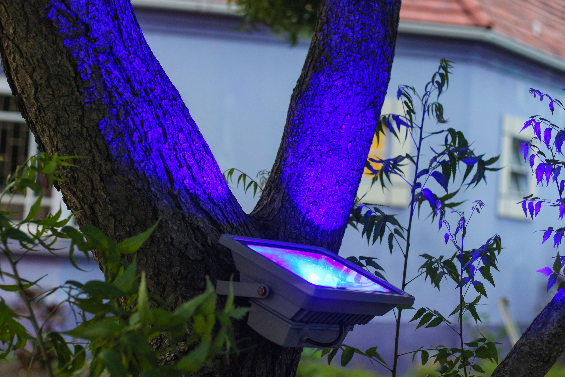 LED Illuminations photo 5