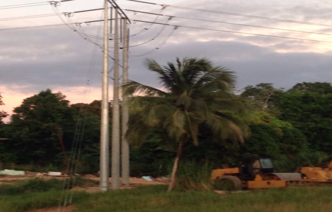 S D V West Indies Ltd photo 7