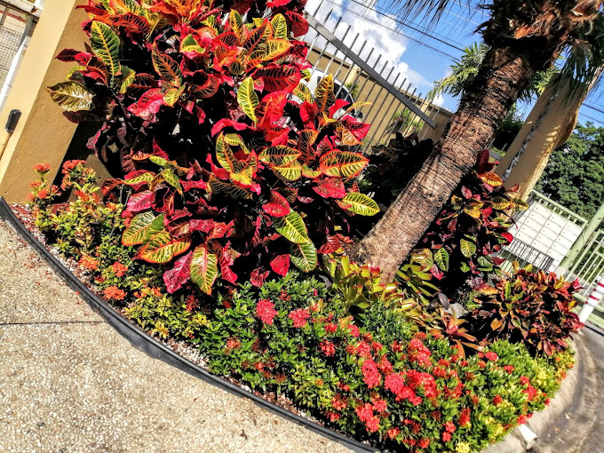 Cyilann Byron Landscaping And Maintenance photo 5