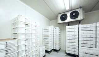 Truenfo Ltd photo 4