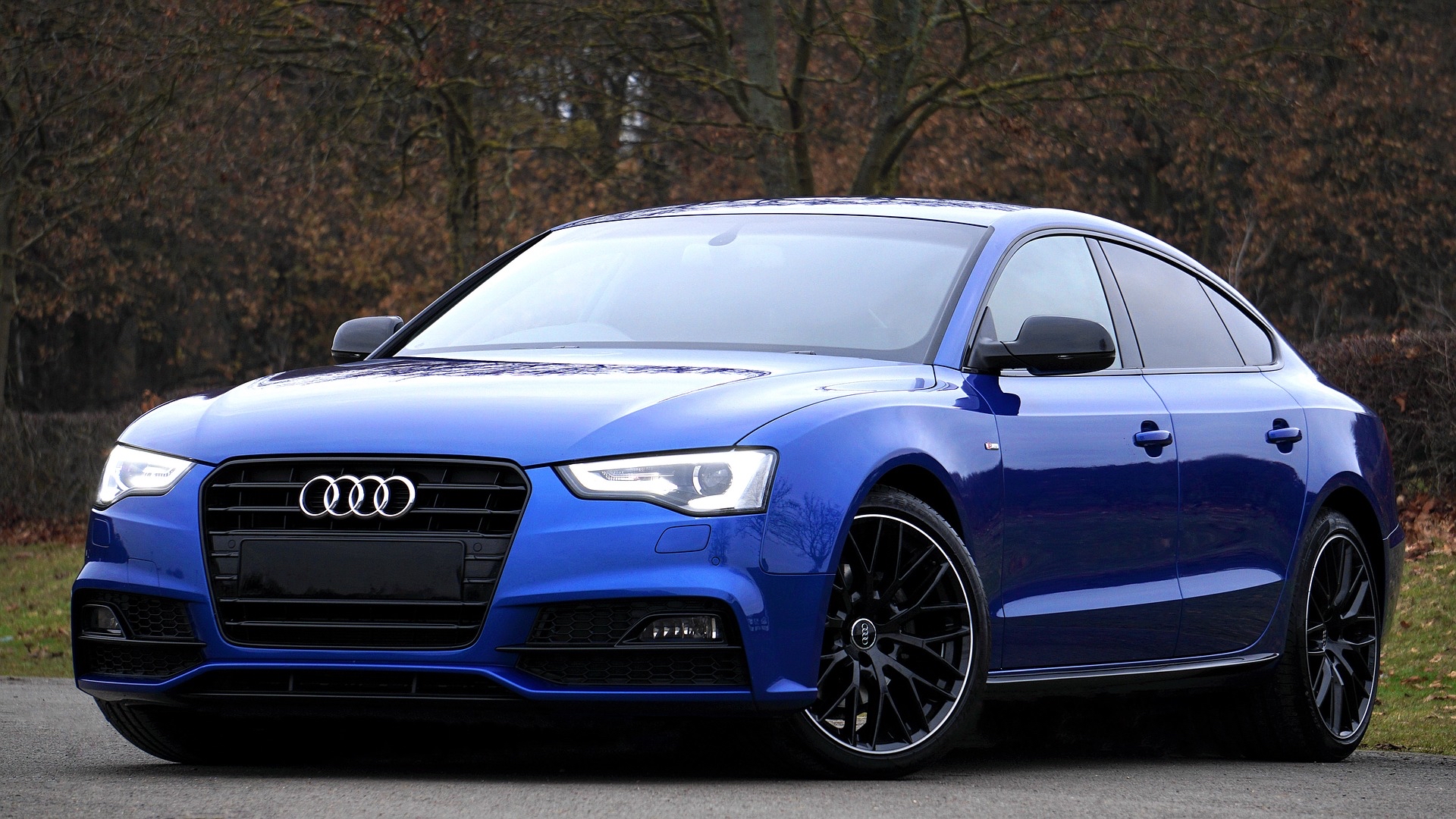 Super Auto Ltd photo 1