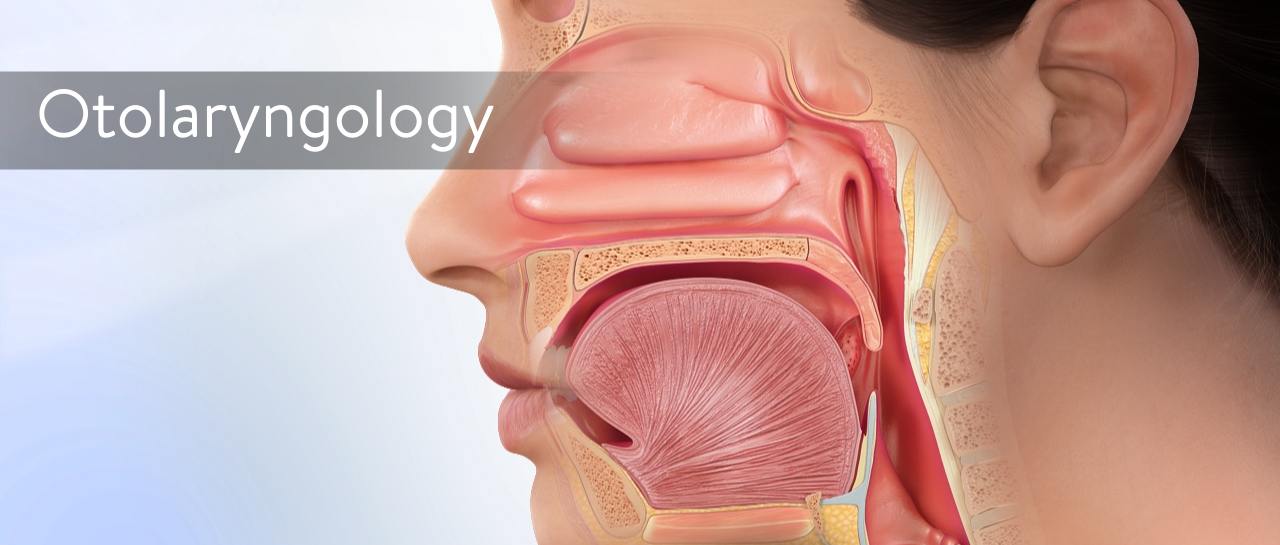 Ear, Nose & Throat Clinic photo 3