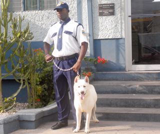 AGI Security Solutions Ltd photo 11