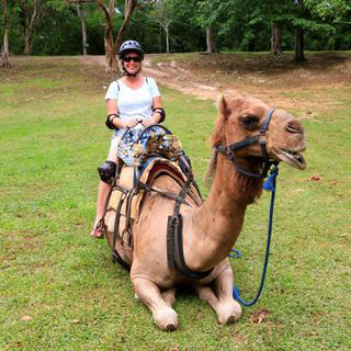 Yaaman Adventure Park photo 2