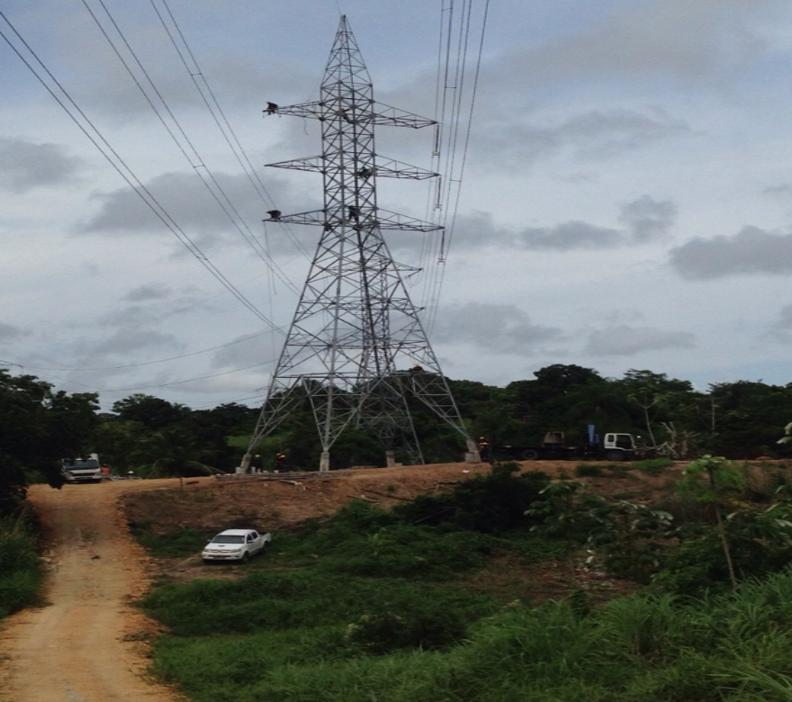 S D V West Indies Ltd photo 4