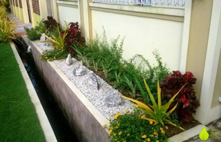 Wallace Landscaping Services photo 5