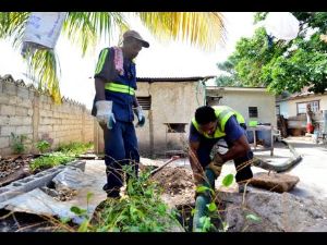 City Haulage Cesspool Services photo 4