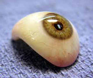 Precise Prosthetics Ltd photo 3