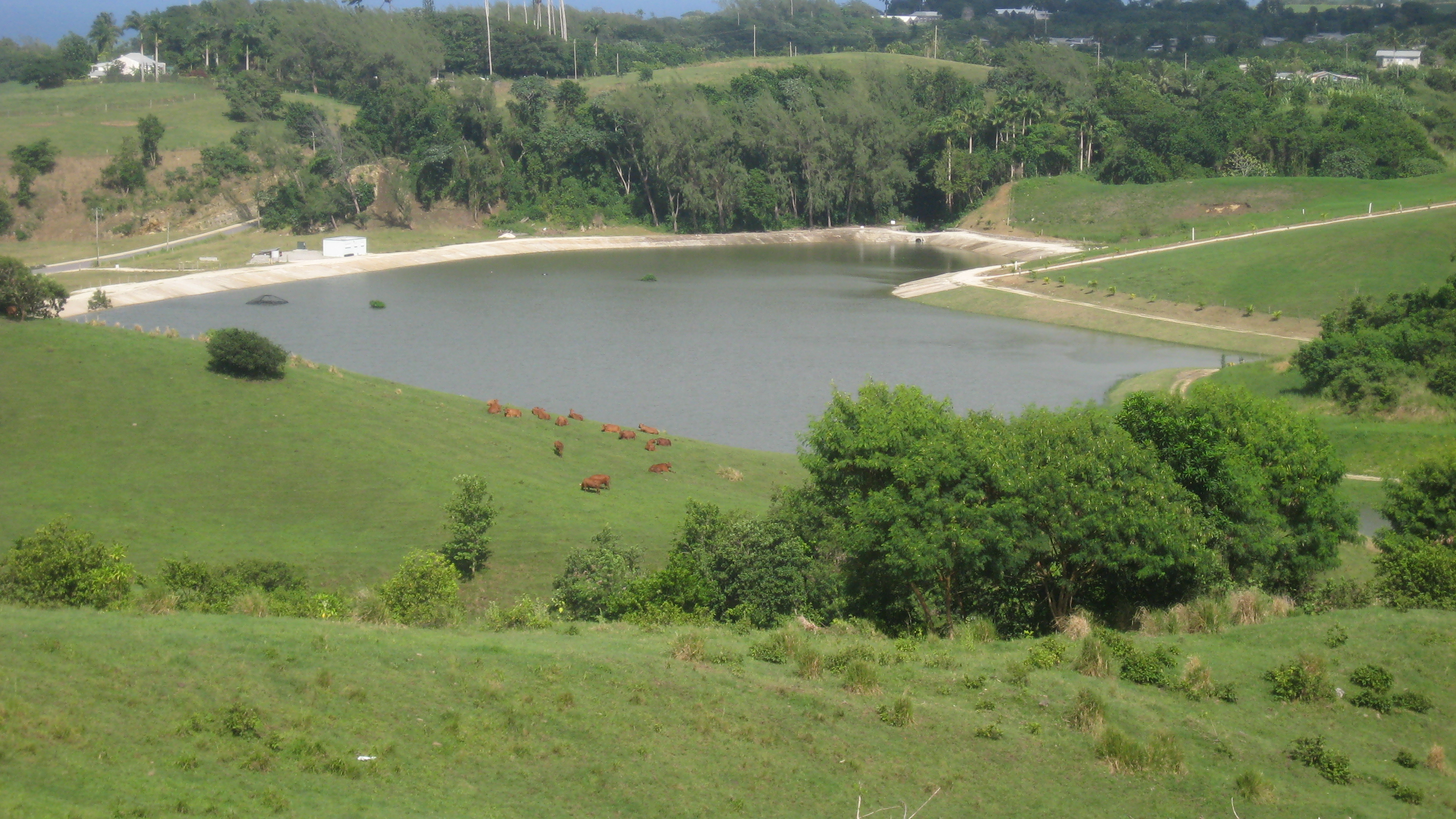 Stantec Consulting Caribbean Ltd photo 7
