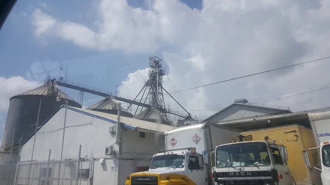 Belize Mills Ltd photo 4