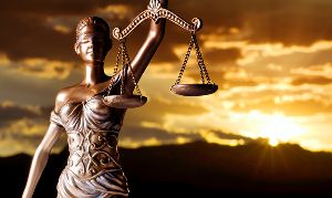 Amicus Legal photo 3