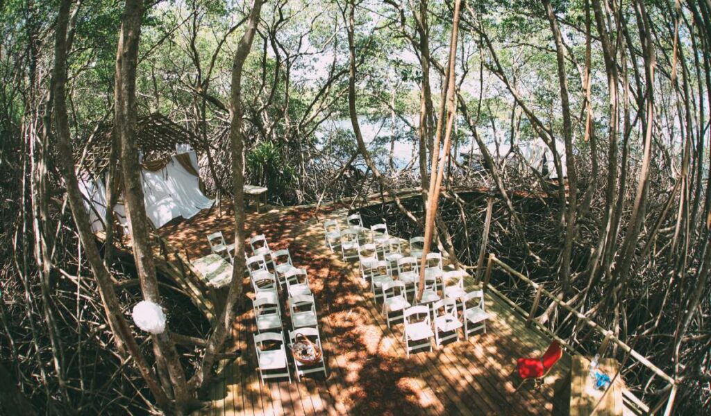 Emily Kristoffer Events photo 2