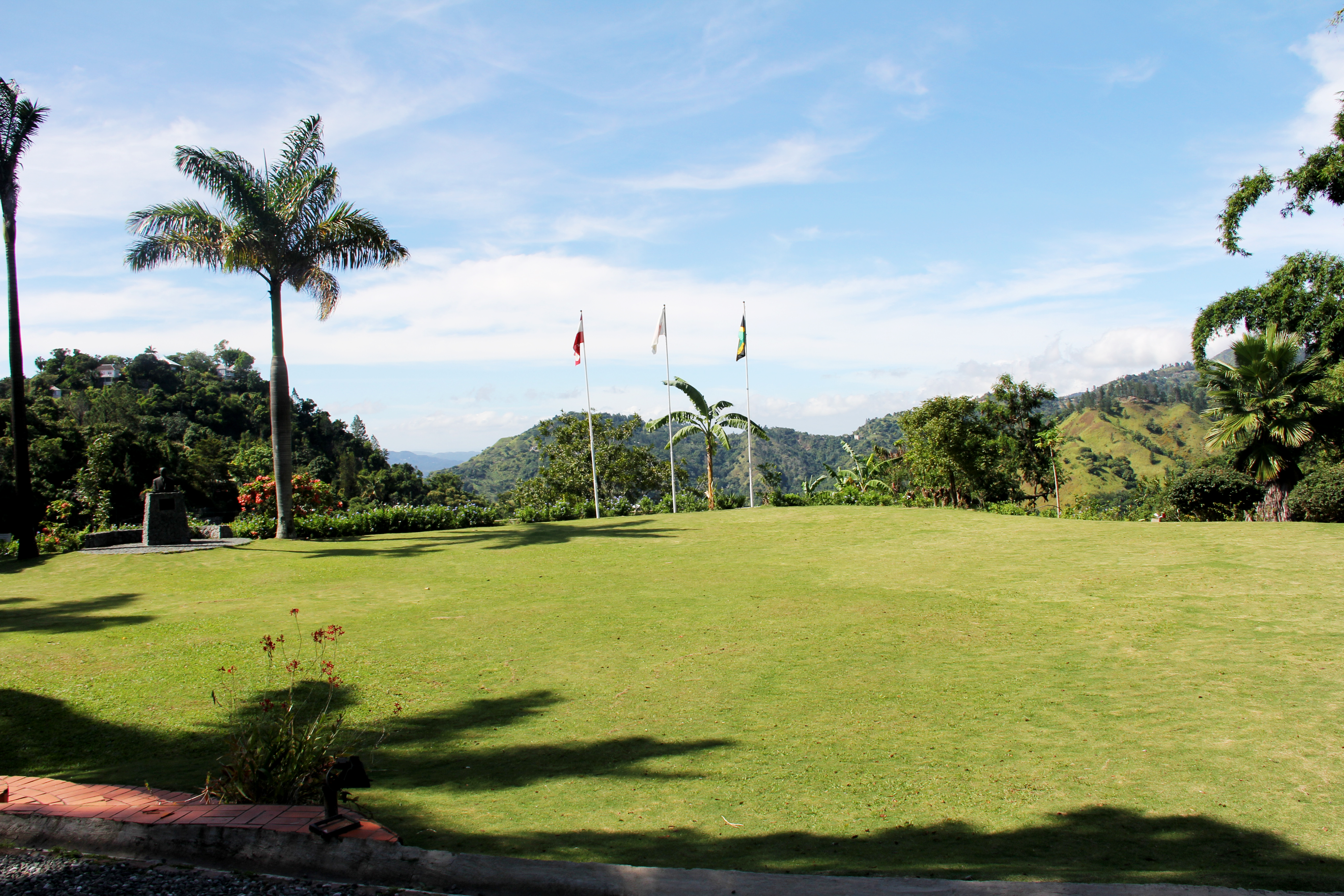 Craighton Estate Blue Mountain Coffee Tour photo 4