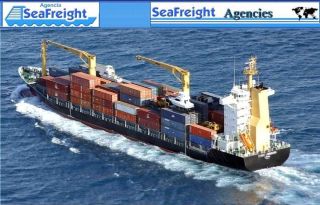 Sea Freight Agencies & Stevedoring Ltd photo 3