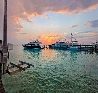 Staniel Cay Yacht Club photo 5