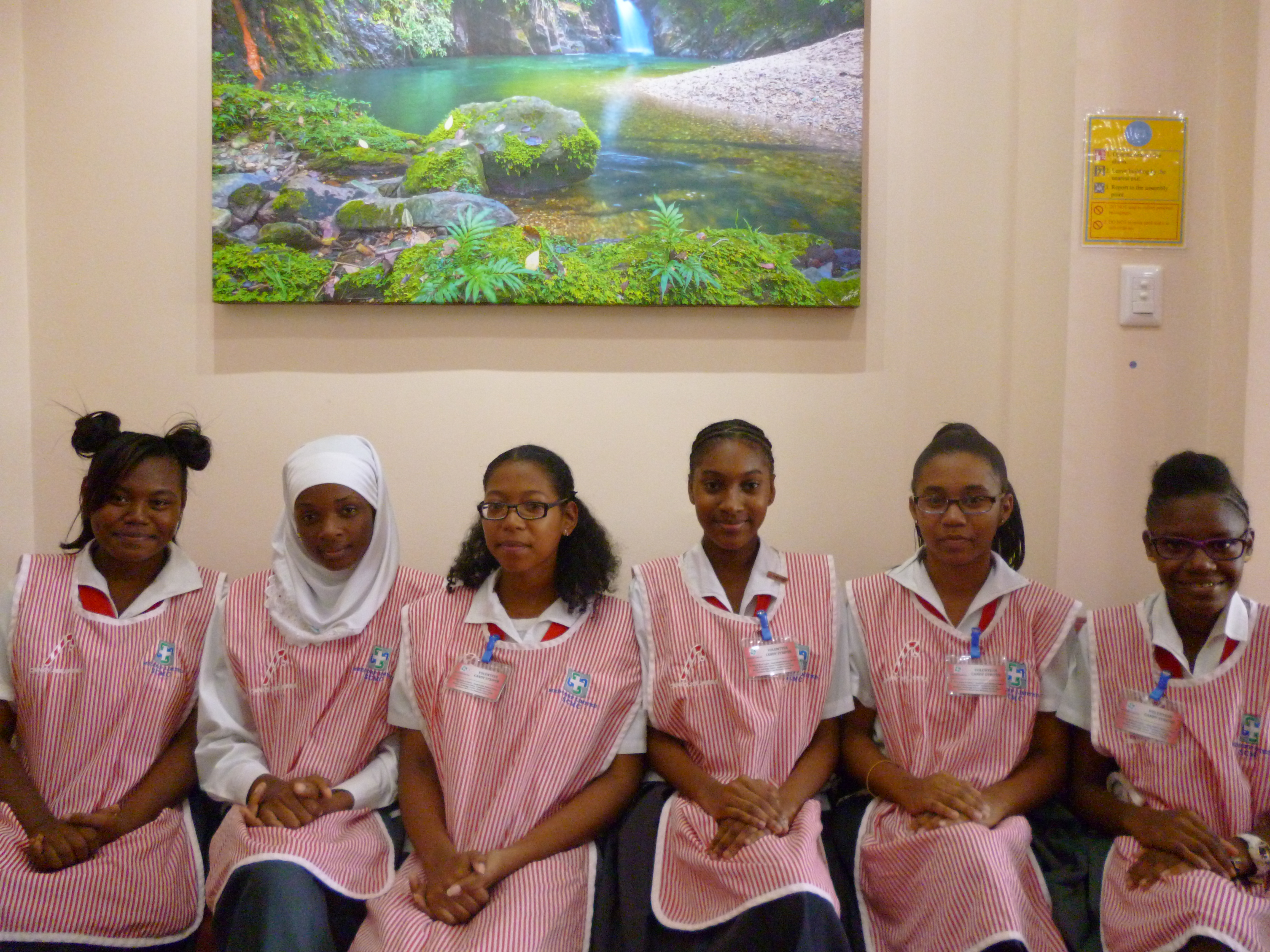 St Clair Medical Centre (Medcorp Ltd) photo 9