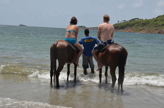 International Pony Club photo 3