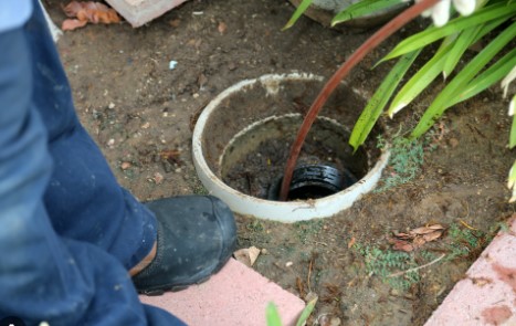 May Pen Cesspool Company Ltd photo 2