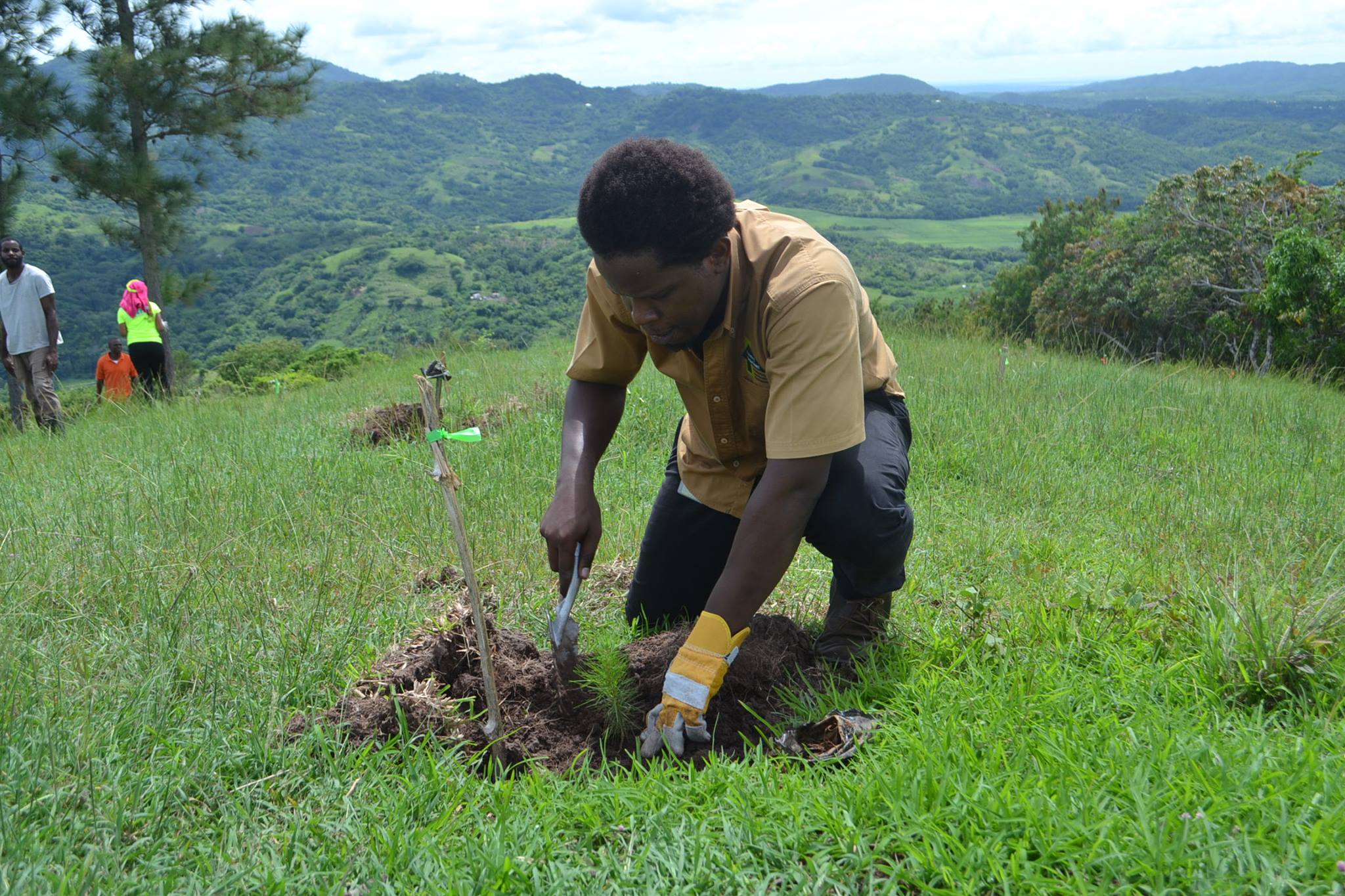 Forestry Department photo 1