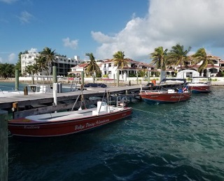 Belize Diving Adventures photo 4